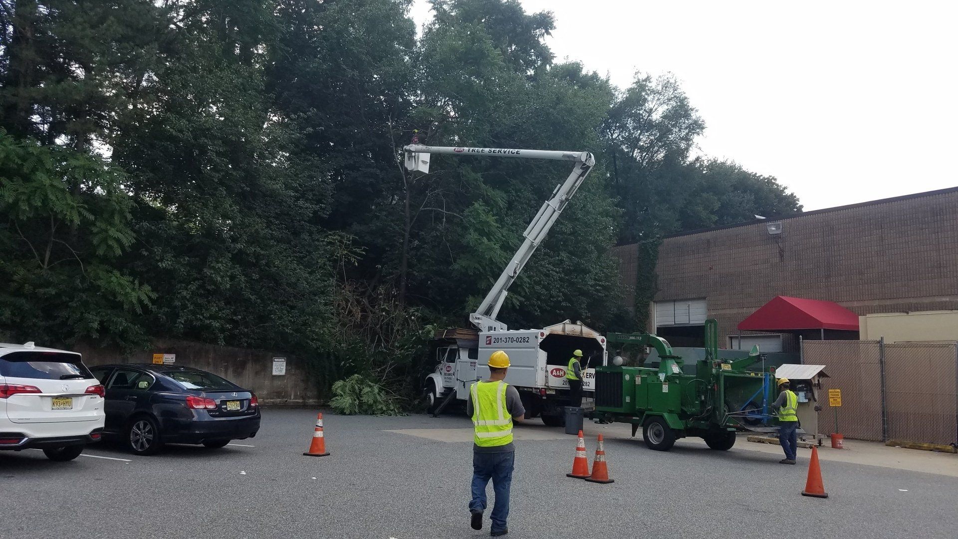 A&H Tree Service Tree and Stump Removal Bergen County, NJ