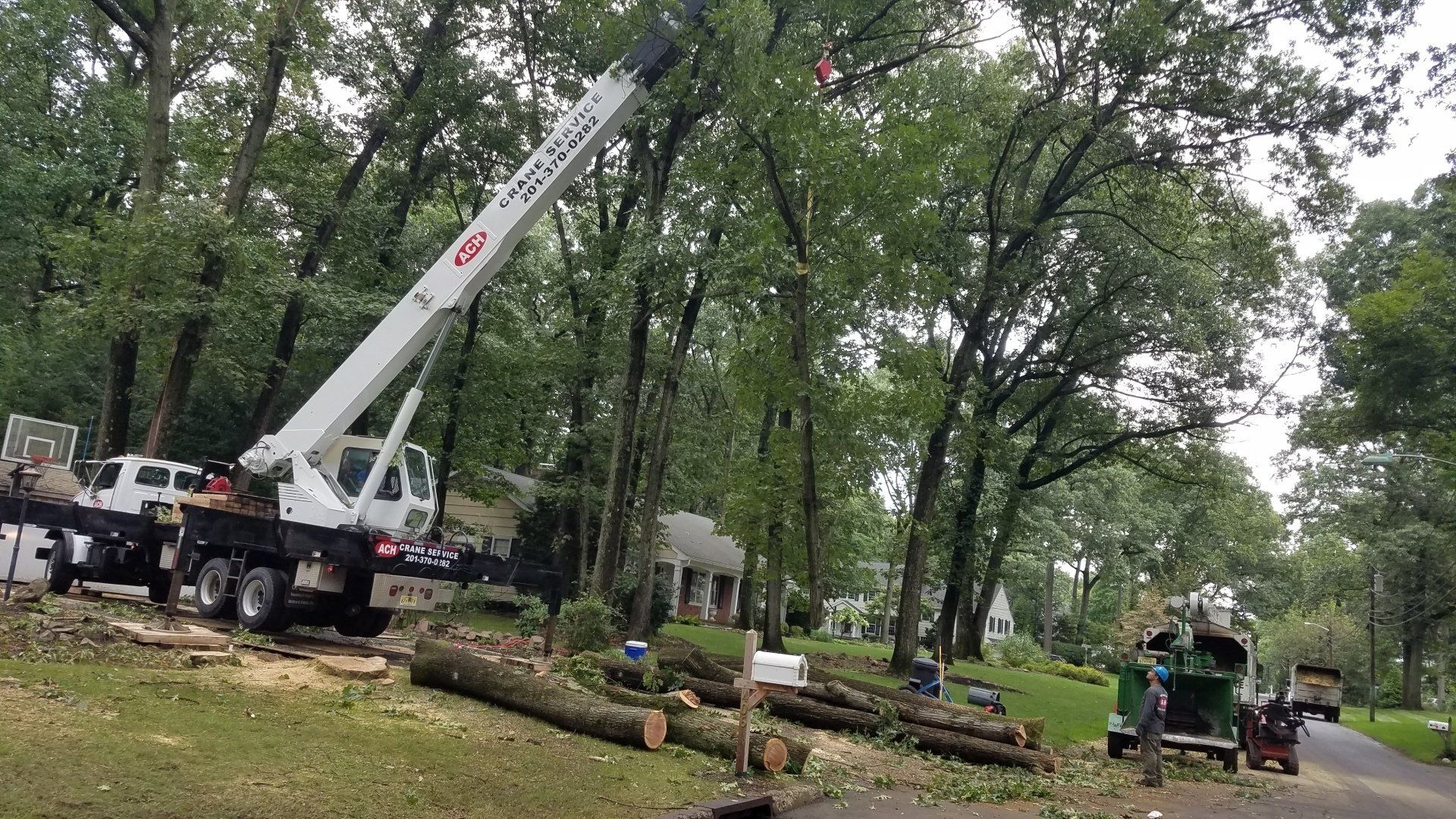 A&H Tree Service | Tree and Stump Removal | Bergen County, NJ