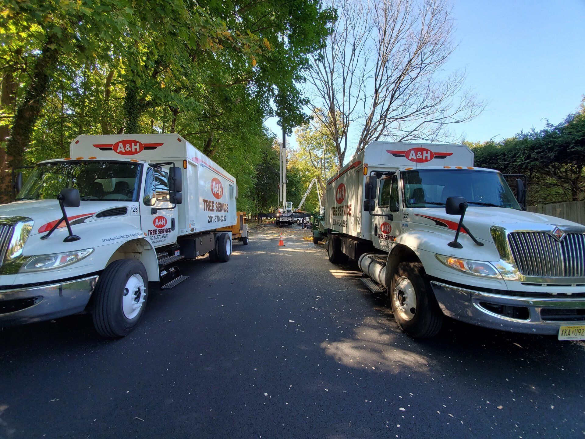 A&H Tree Service Tree and Stump Removal Bergen County, NJ
