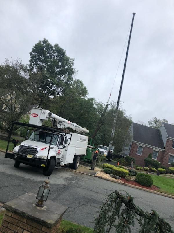 A&H Tree Service Tree and Stump Removal Bergen County, NJ
