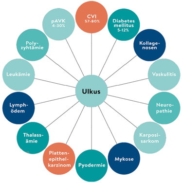 Diagramm mit dem „Ulkus“ (Geschwür) im Zentrum, umgeben von medizinischen Zuständen, mit prozentualen Angaben zu CVI, PAVK und Diabetes.