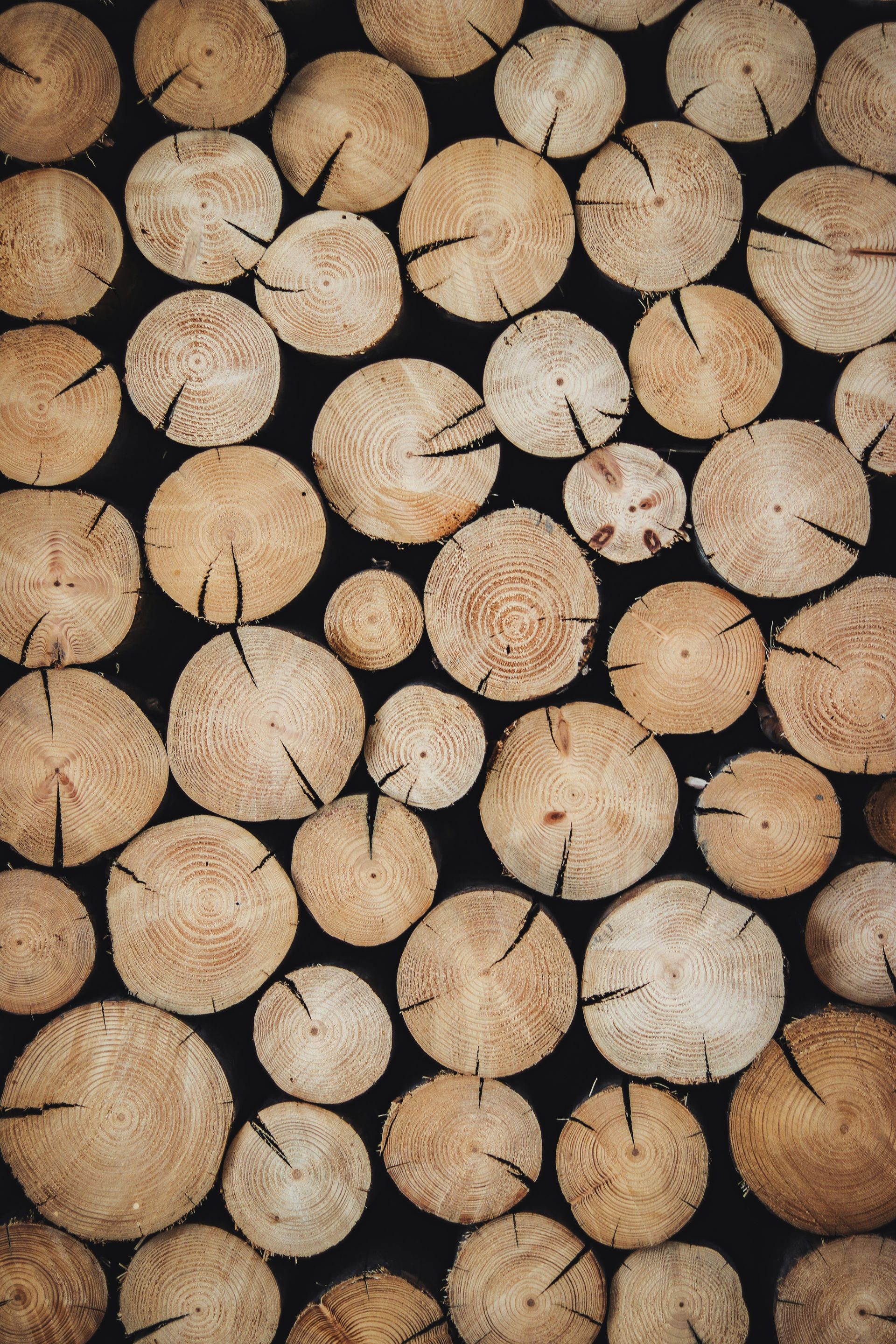 Foto von Alexandre Jaquetoni auf Unsplash
