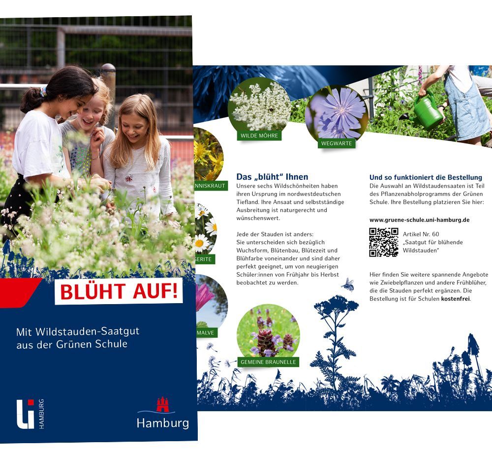 Blüht auf! Saatgut aus der Grünen Schule