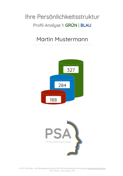 Psa Personlichkeitsstrukturanalyse