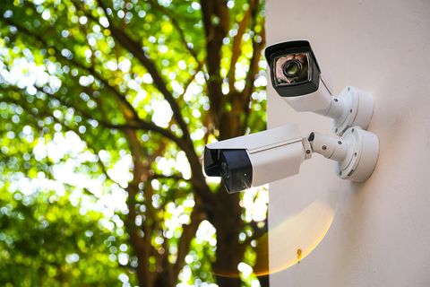 Vidéo surveillance hivernage