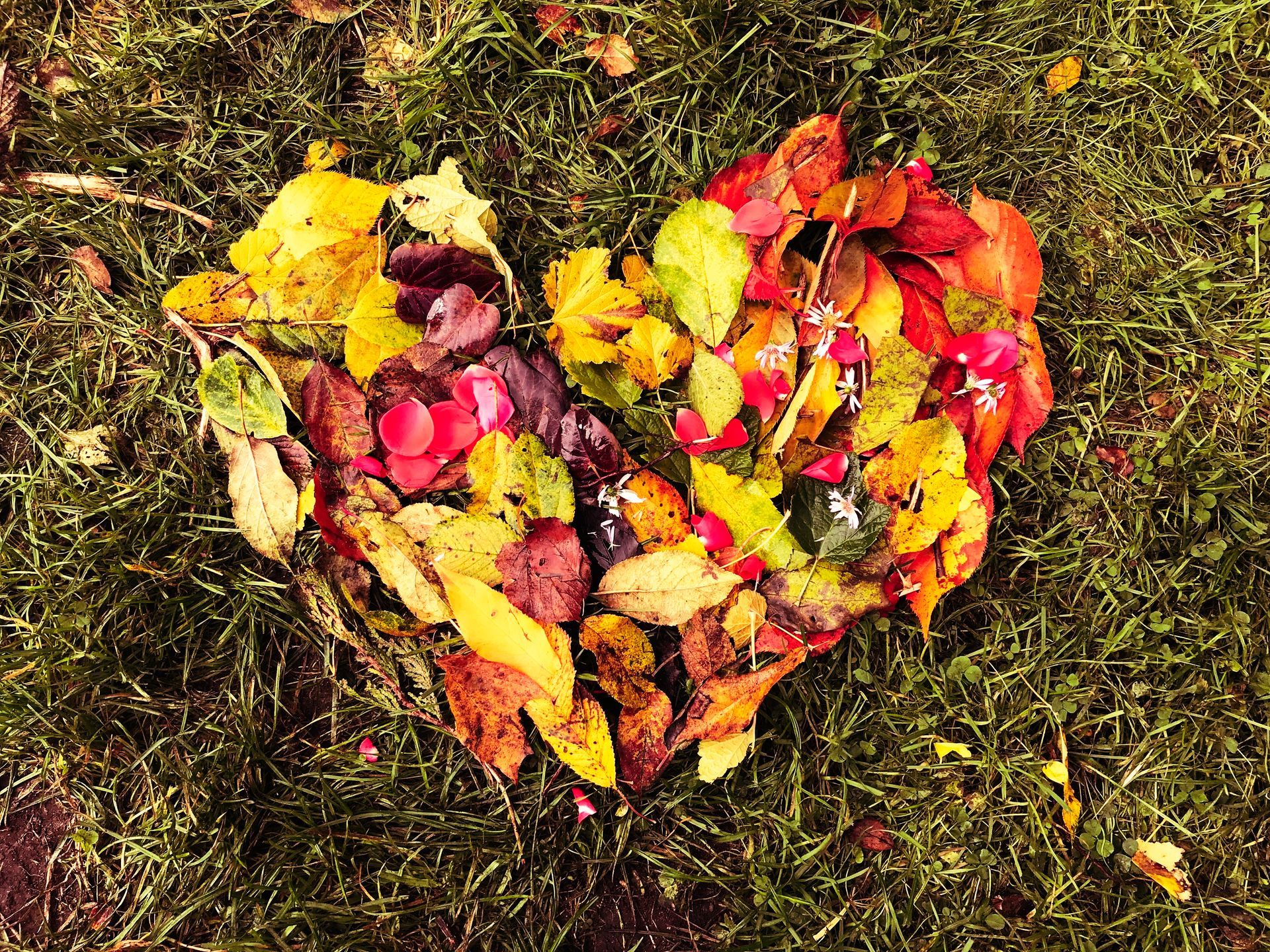 HORIZONAUTEN-Abenteuer Akademie Erlebnispädagogik Eckernförde Natur Kunst