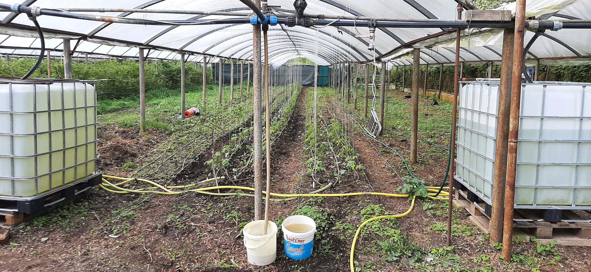 Gewächshaus für Gemüse