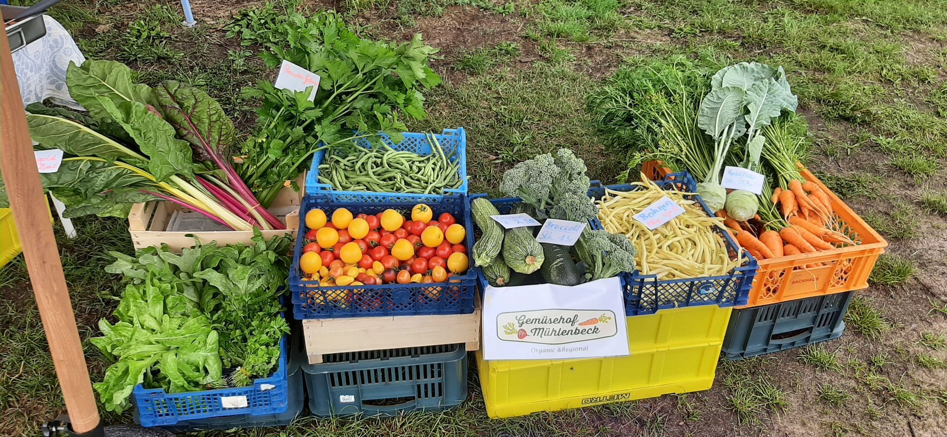 Regionales Gemüse aus Mühlenbeck