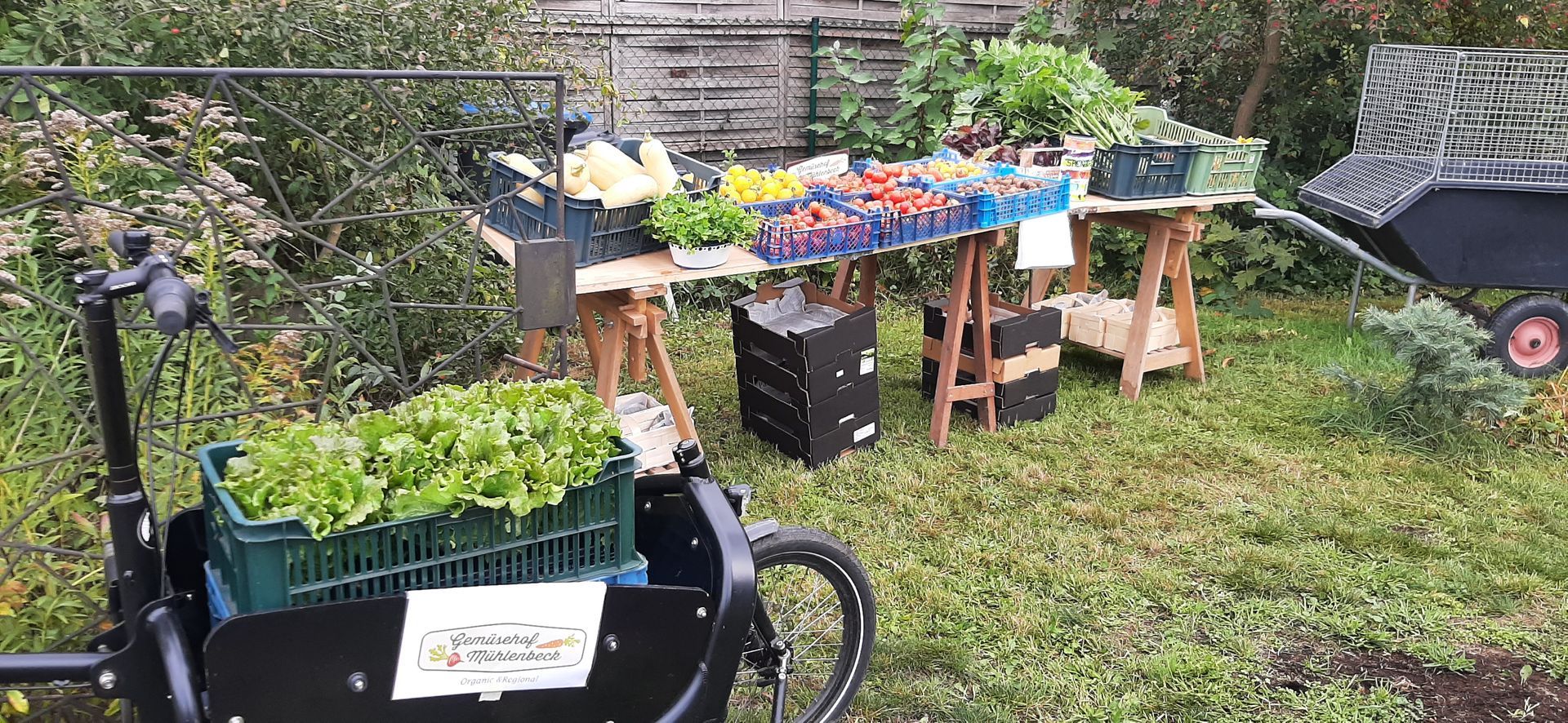 Regionales Gemüse Verkaufsstand in Mühlenbeck