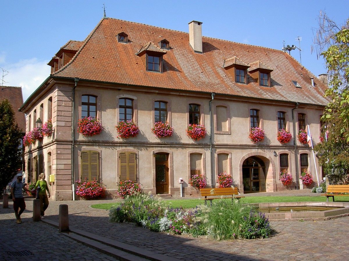 Teppichreinigung Bergheim
