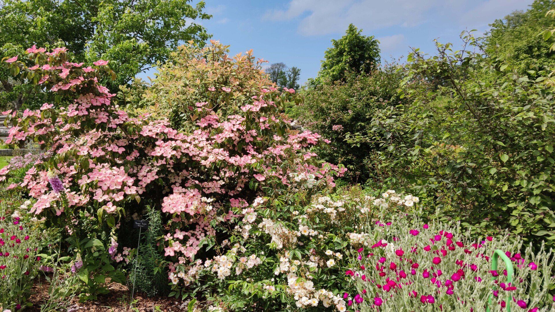 les jardins du coeur