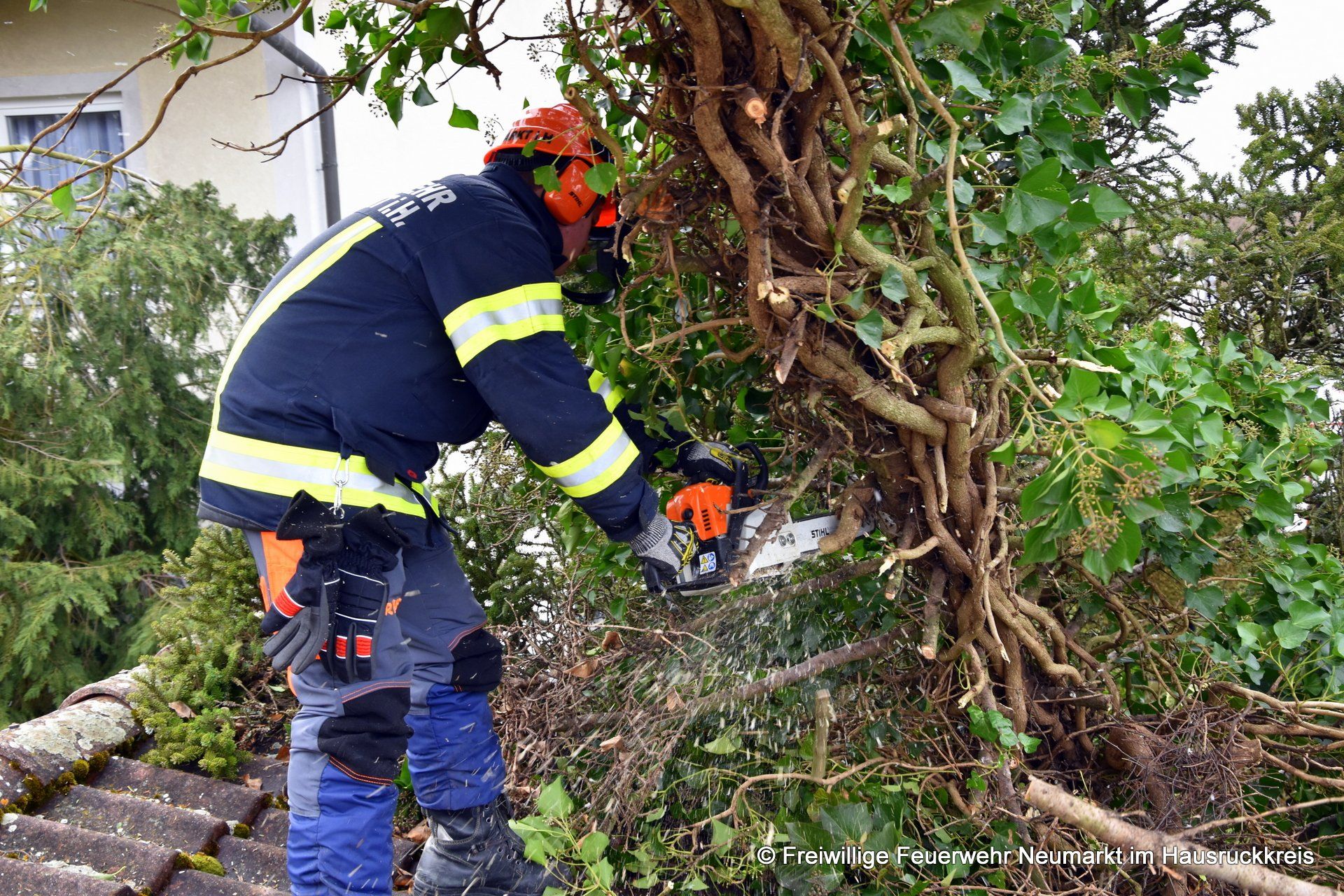 15. Sturmschaden Baum auf Dach