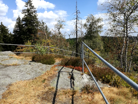 Felsen im Naturpark Steinwald