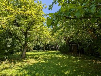 Baugrundstück Nachbarbebauung Kauf Ingolstadt 