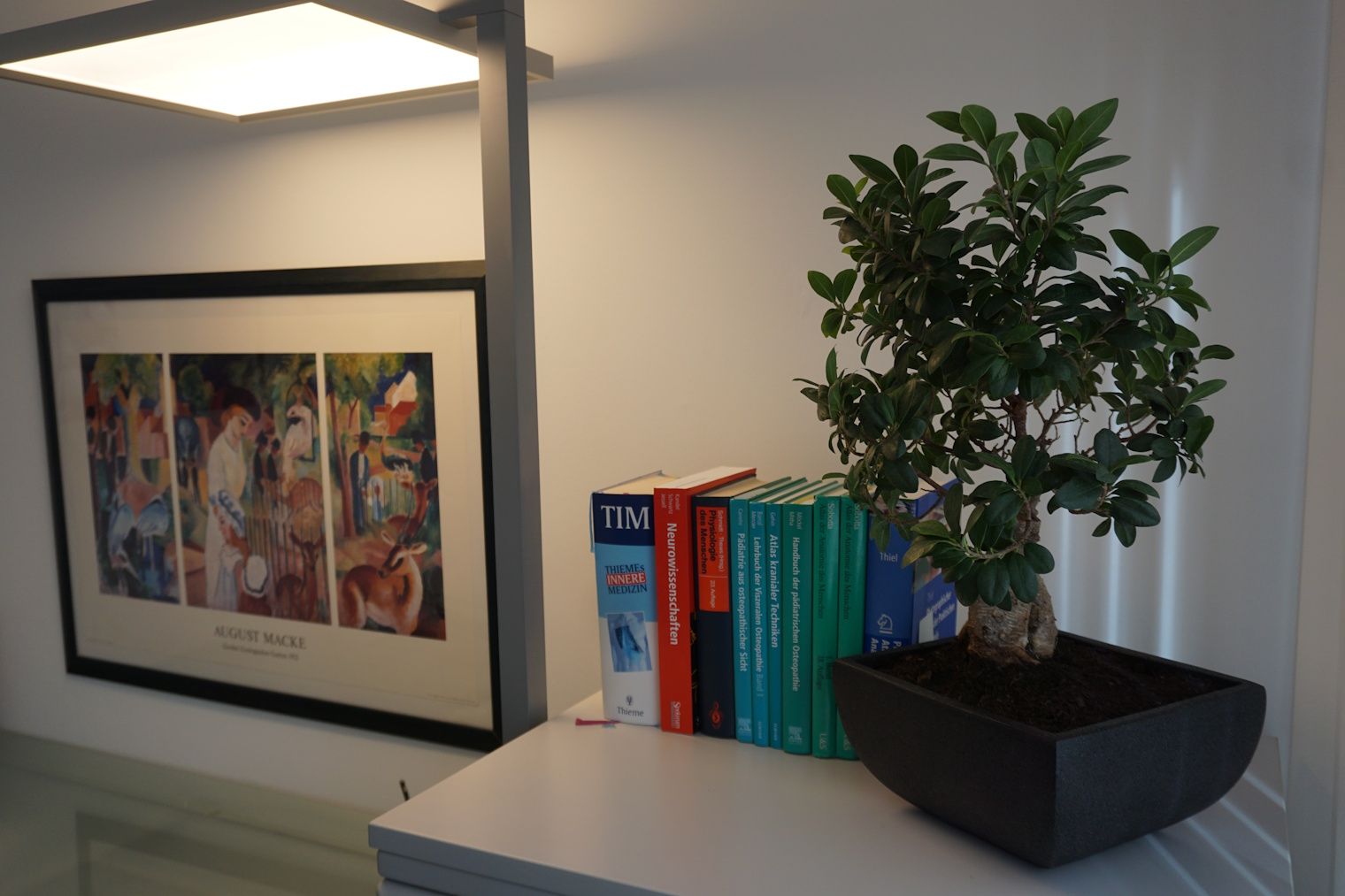 Bonsai-Baum und Bücher auf einer weißen Fläche, daneben gerahmte Kunstwerke und eine moderne Leuchte.
