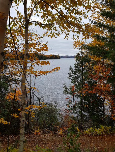 Fox Lake Lodge - Outdoor Getaway