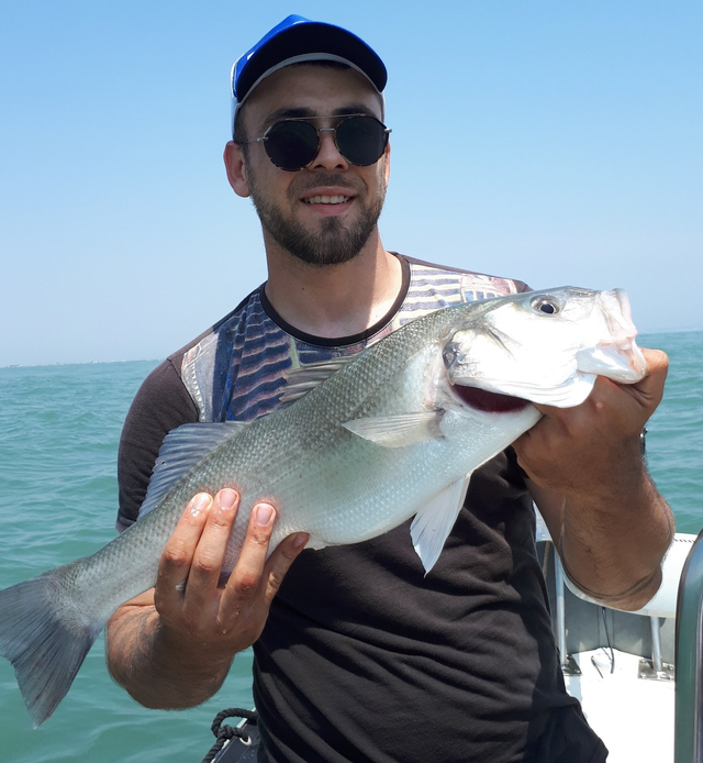 Prestations De Peche En Mer En La Cote Bleue Et La Camargue
