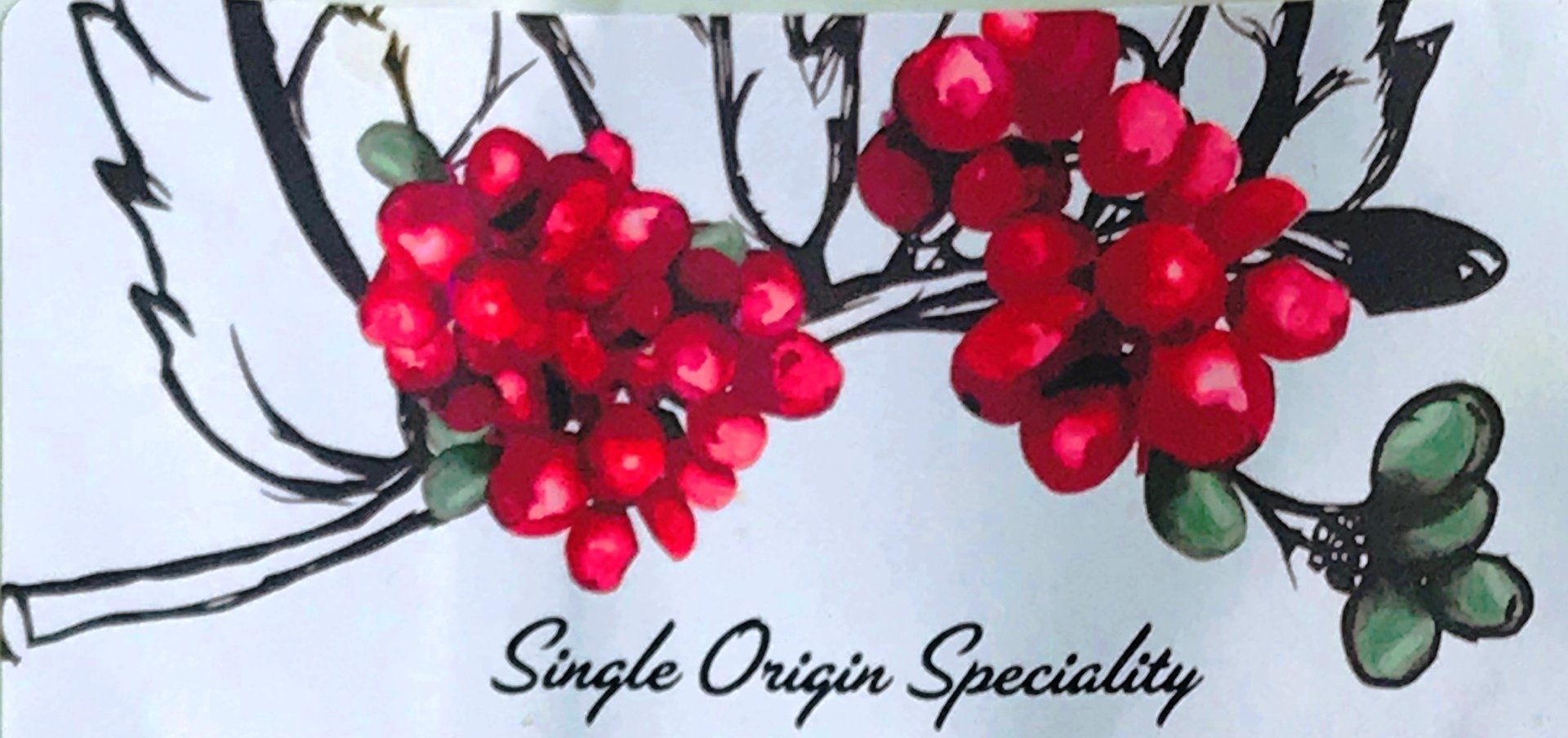 Fresh speciality single origin coffee beans