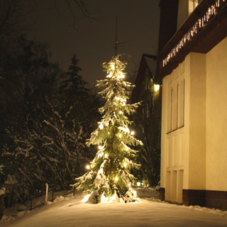 Christiane Klatt Steuerberater in Berlin Zehlendorf