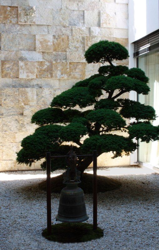 Test1