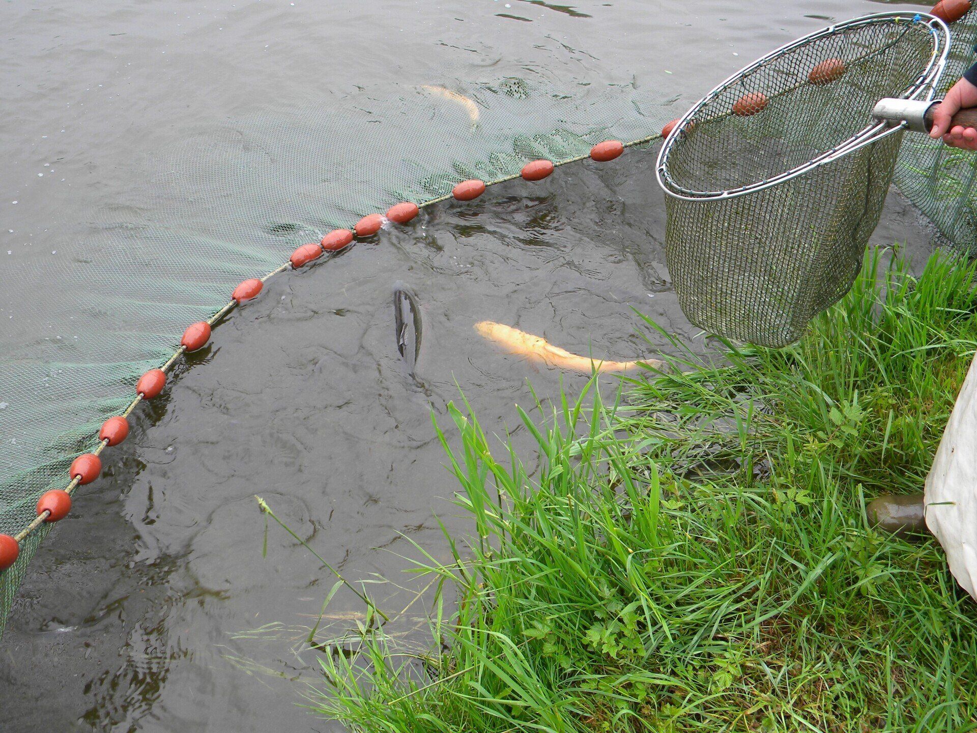 Fischerei