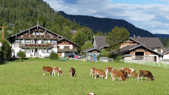 Tourismus und Landwirtschaft in Wallgau
