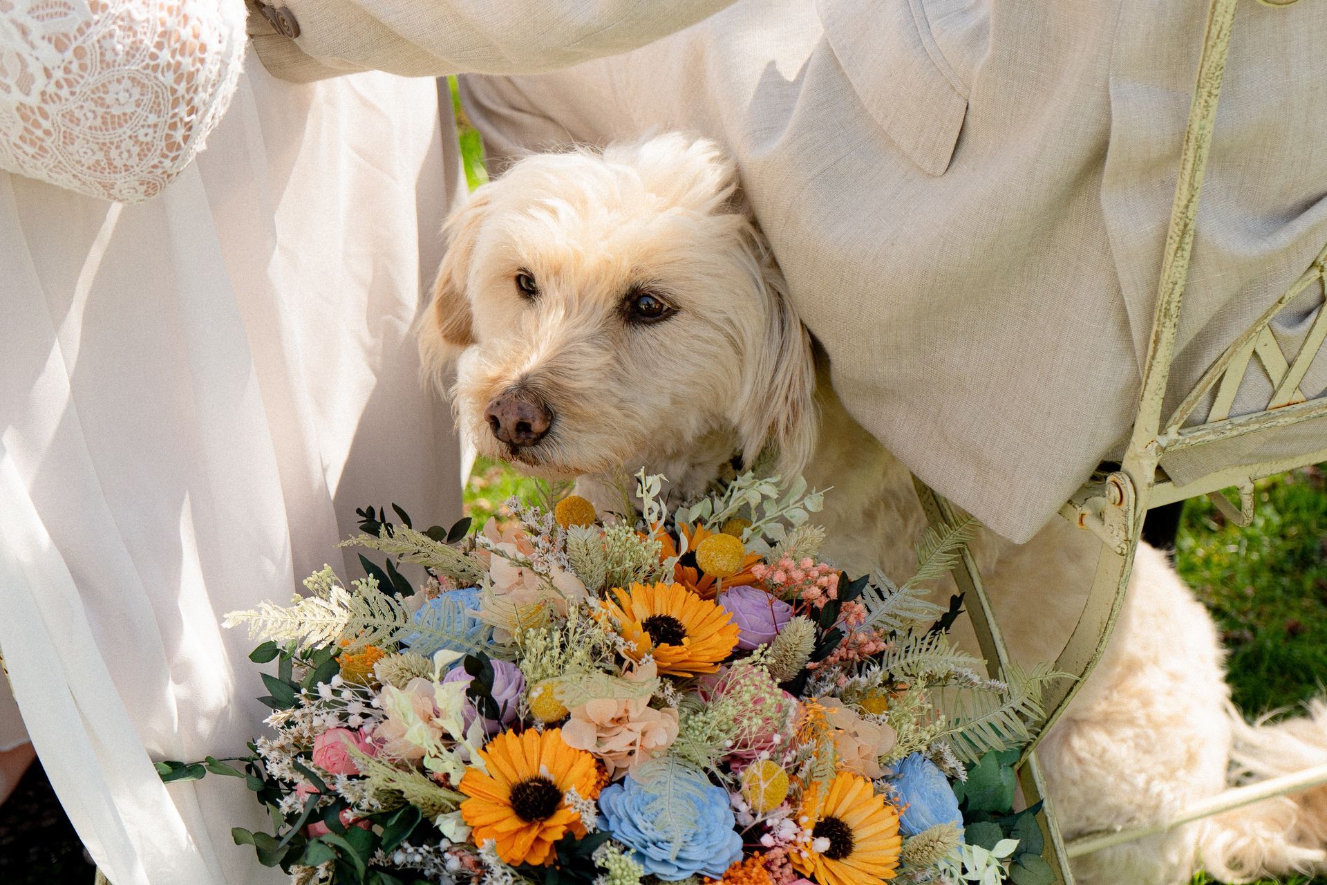 Hochzeit mit Hund