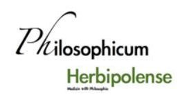 Mitglied Arbeitsteam, Würzburger Philosophicum, Universitätsklinikum Würzburg, 