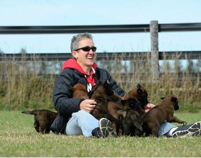 dog training etobicoke