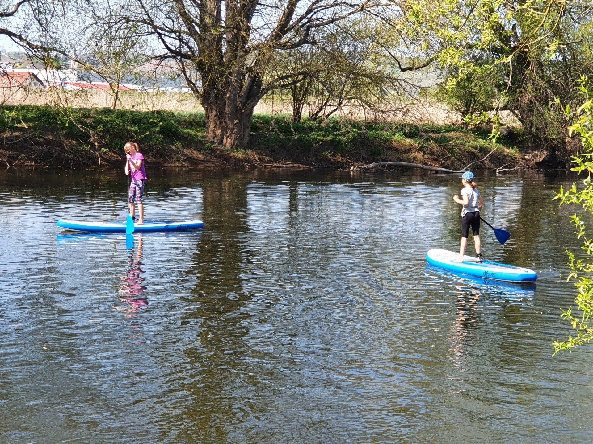 Stand Up Paddle Training beim RheinNahe
