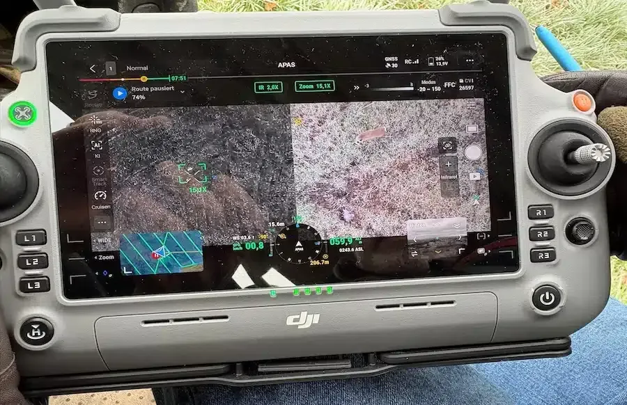 Wildschwein-Vorfall in Trier