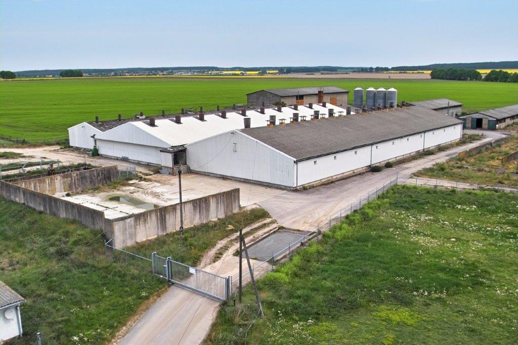 Breitenfeld - Ferkelaufzucht