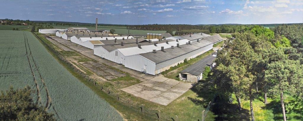 Zollchow - Sauen- und Ferkelhaltung