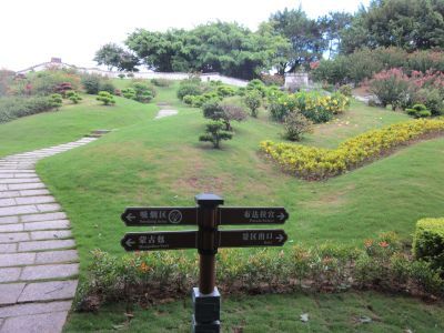 花园中，一丛红色的开花灌木被绿色的蕨类植物环绕。