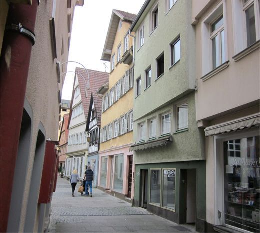 此项目在德国巴登符腾堡州，很快就出手了。