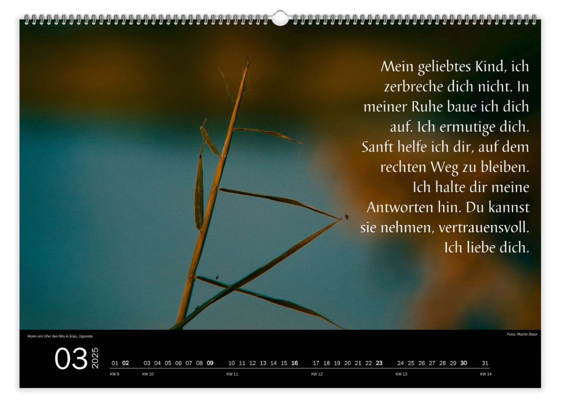 Beispiel für einen Prophetischen Kalender