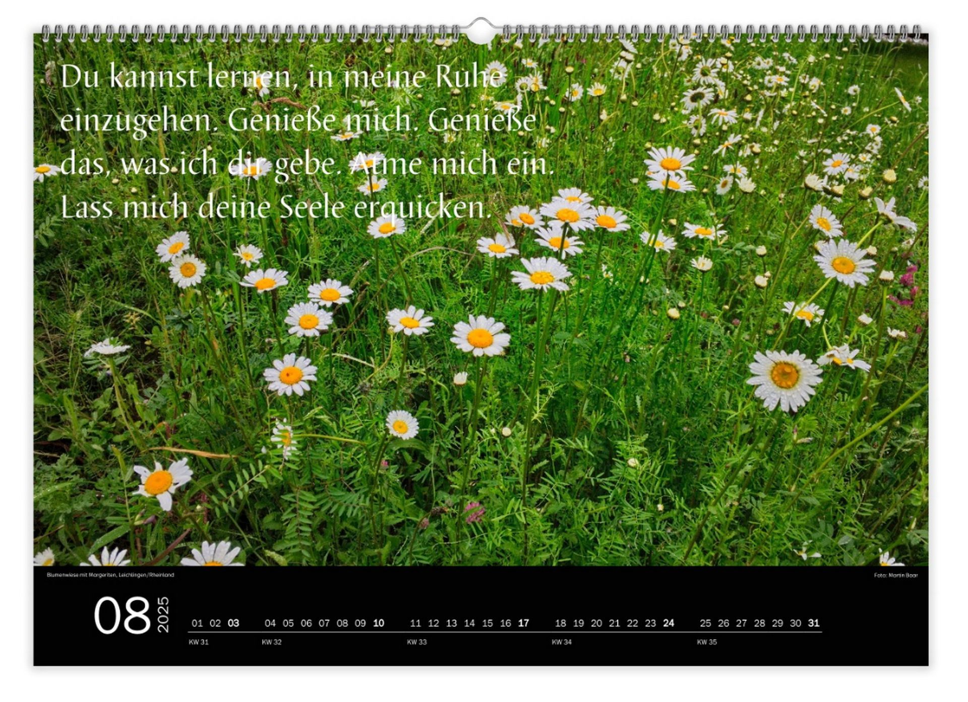 Beispiel für einen Prophetischen Kalender