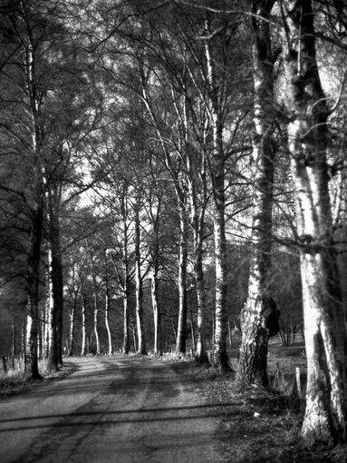 Licht und Schatten. Mediumformat. Kiev 60.
