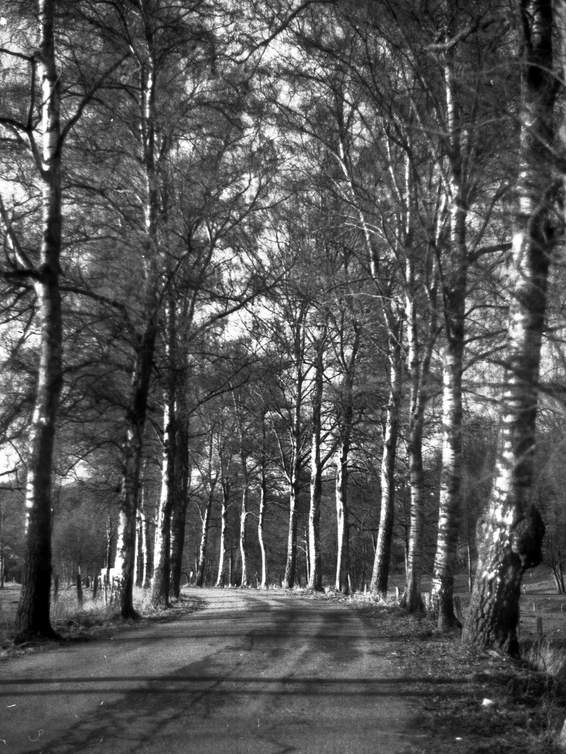 Licht und Schatten. Fotokunst.