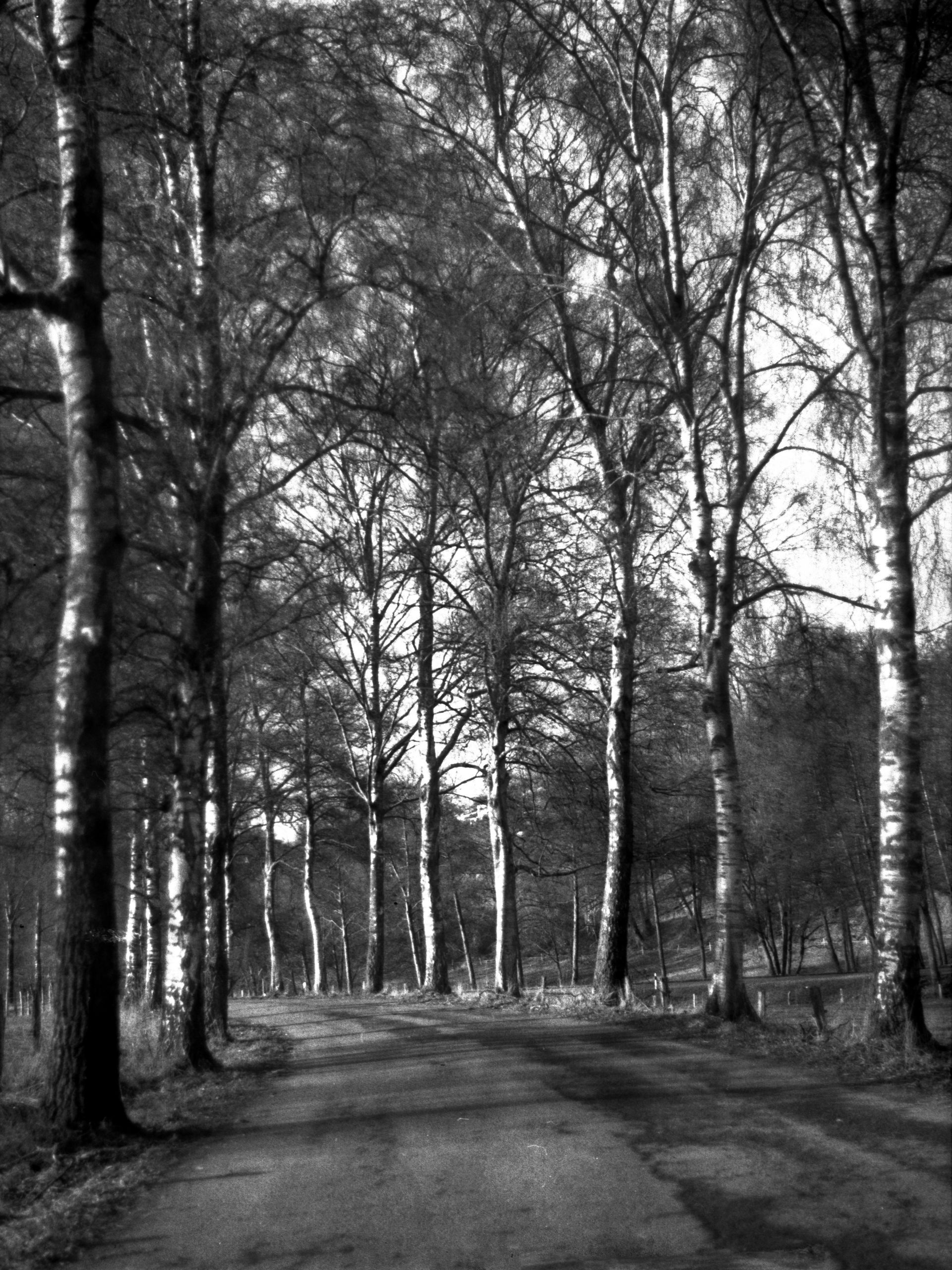 Licht und Schatten. Fotokunst.