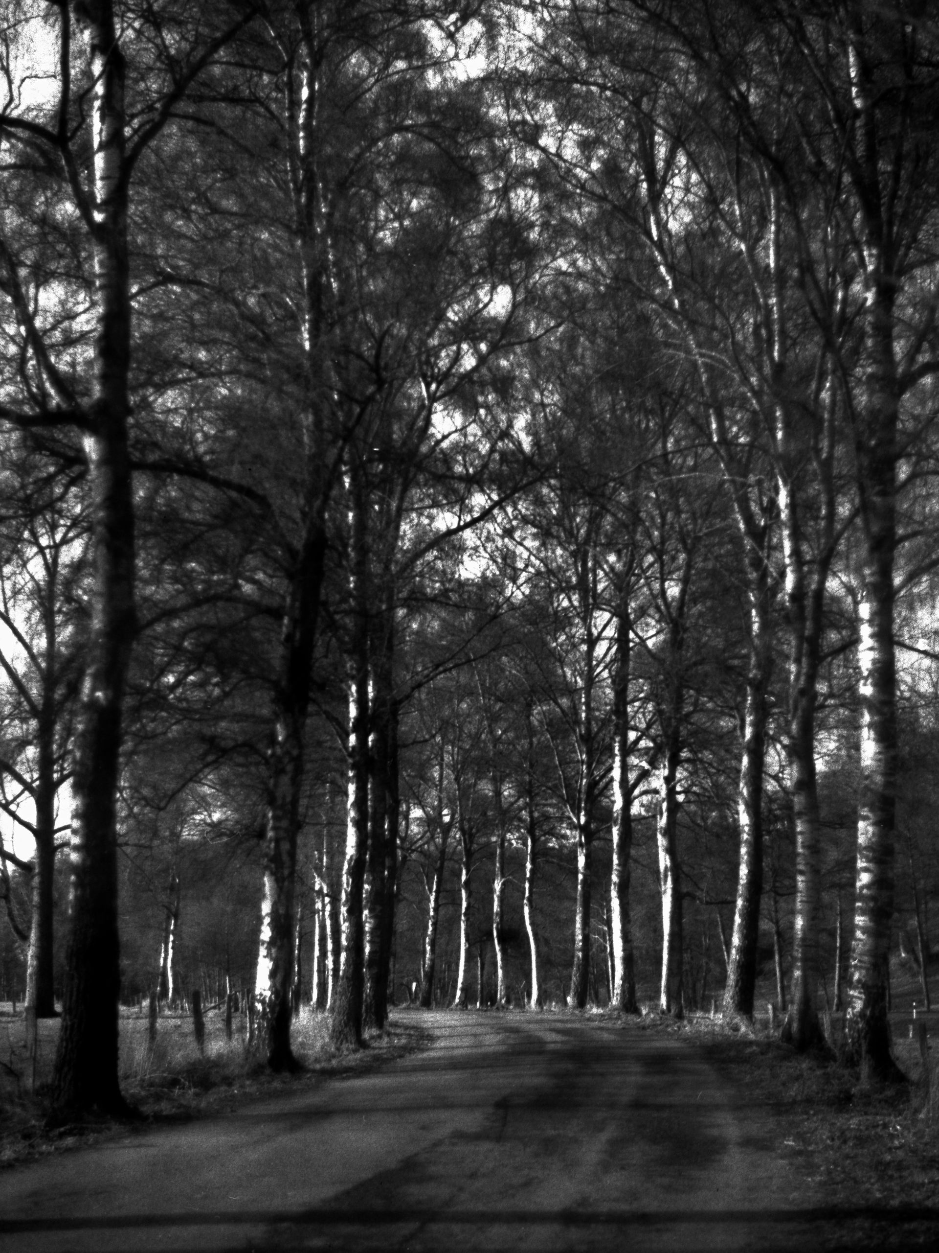 Licht und Schatten. Fotokunst.