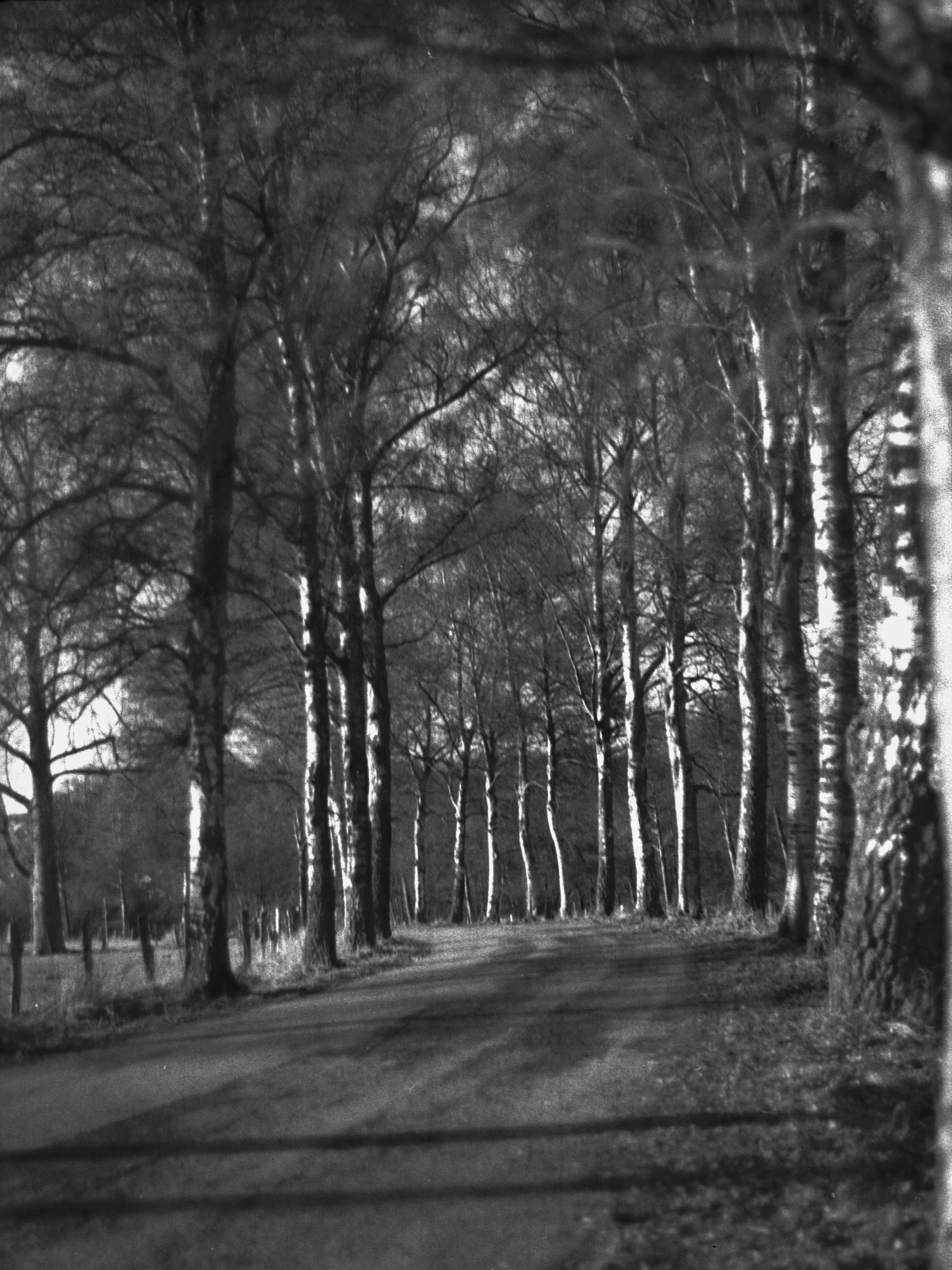 Licht und Schatten. Fotokunst.