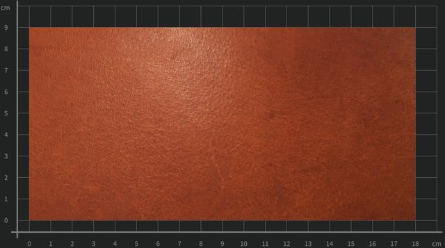 L55 Buffalo Leather Buy From Richter Leder Gmbh Germany