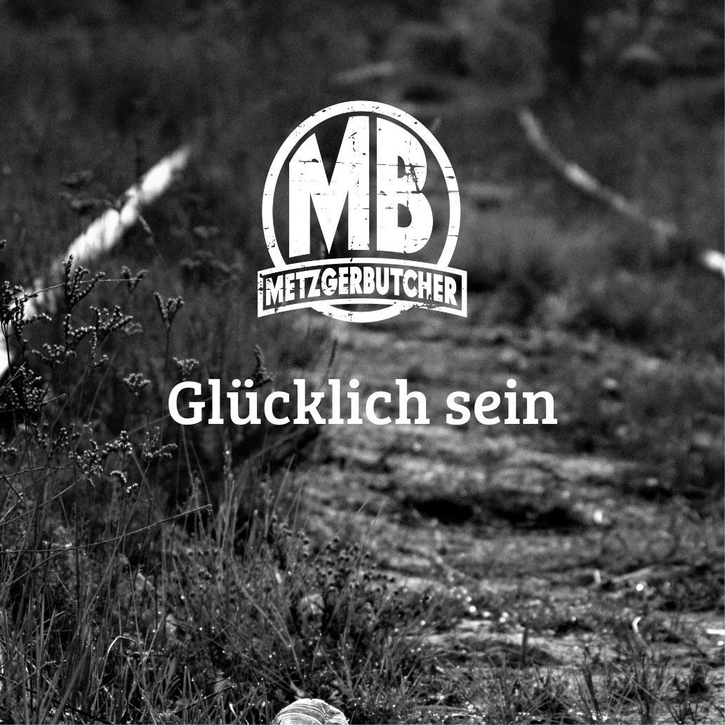 Das Cover der Single 