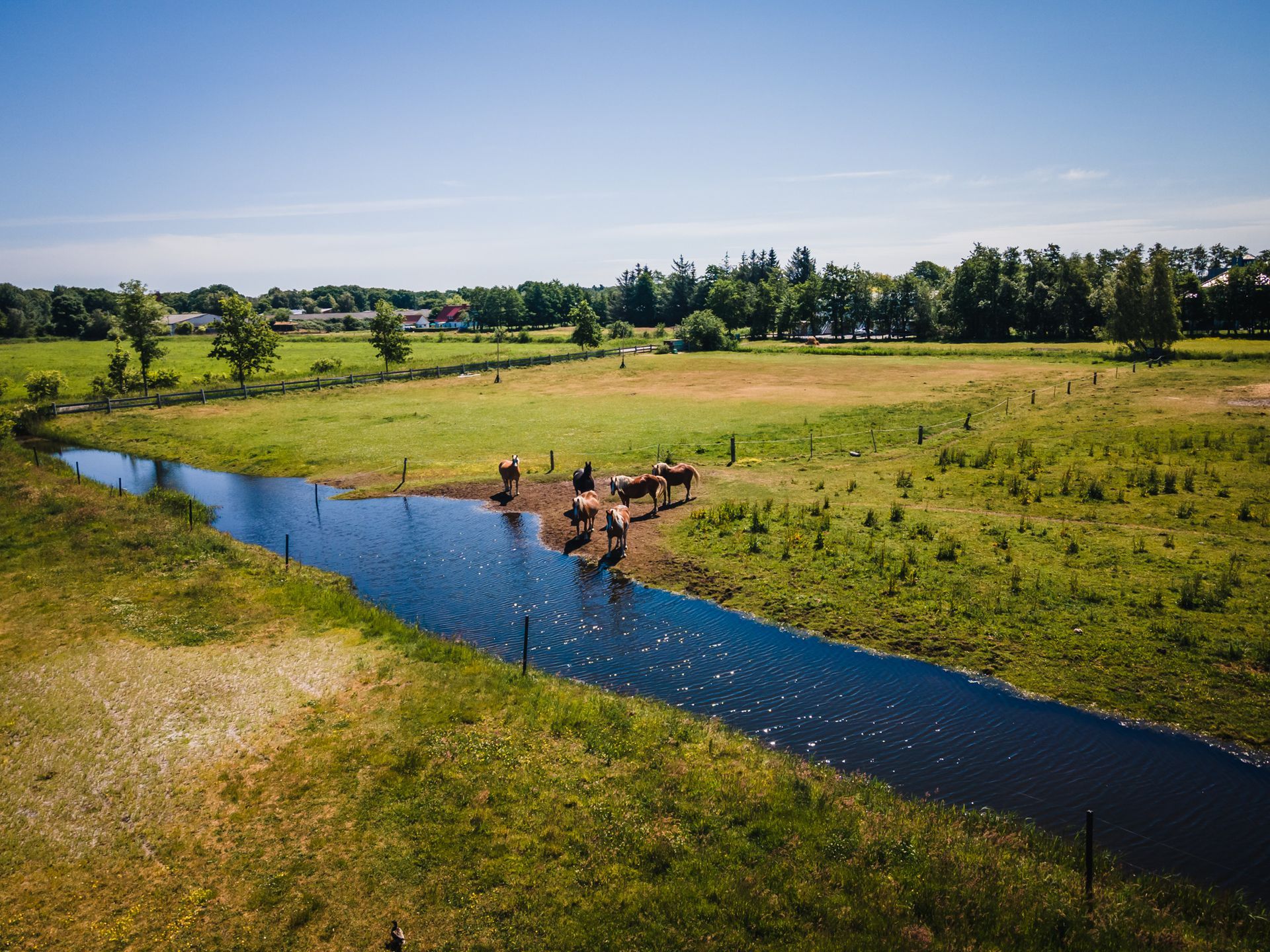 Bodden mit Feldern und Wald