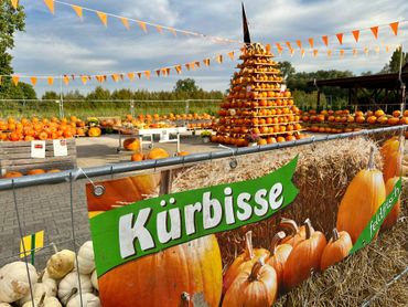 Kürbisverkauf bei Hamburg