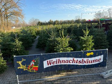 Weihnachtsbaumverkauf bei Hamburg