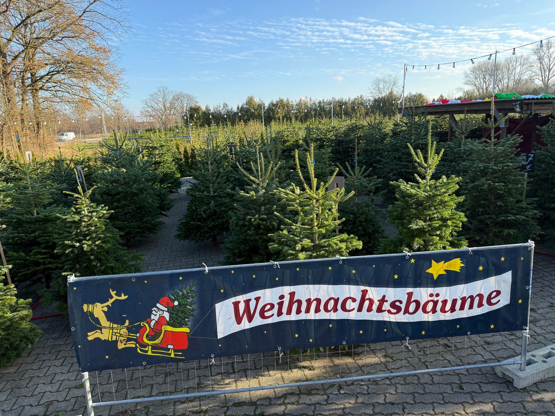 Weihnachtsbaumverkauf mit Nordmanntannen im Halstenbeker Hofladen bei Hamburg.