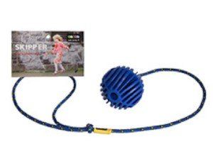 Blue Skipper Just Jump It