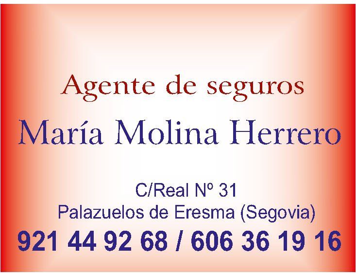 Logo Agente de Seguros María Molina Herrero, patrocinador oficial Club Deportivo Monteresma La Atalaya